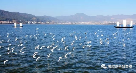 1544775802650134.png 38F9F360-17EF-40aa-9FEB-F3293608044C.png